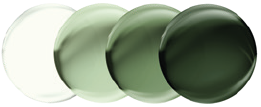 Lenses with Prescription