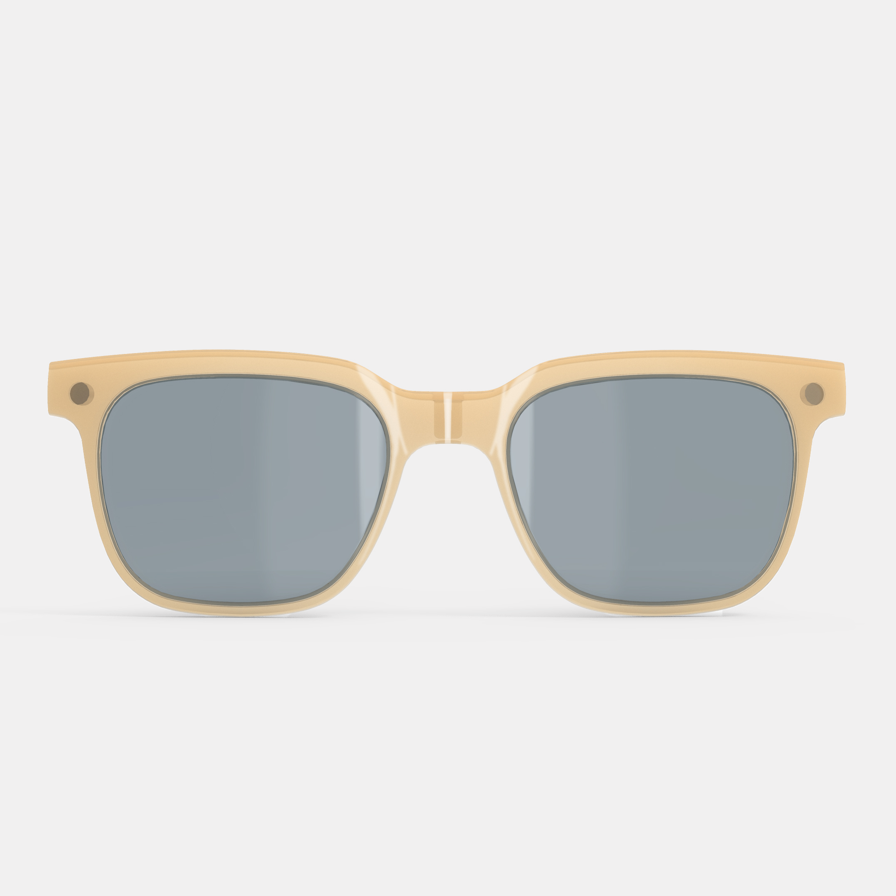 X Clip-on | Polarised Lenses